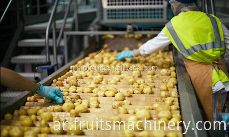 Potato sorting platform